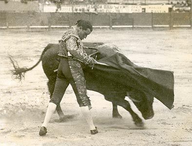 histoire de la tauromachie